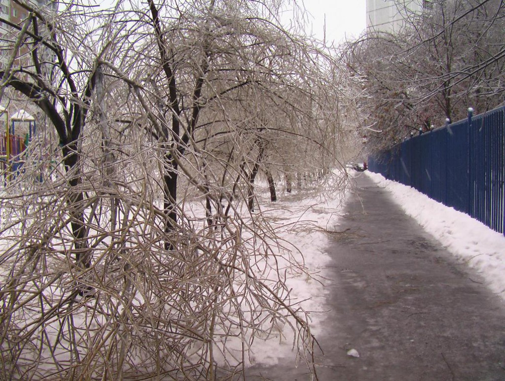 москва 26 декабря 2010 1